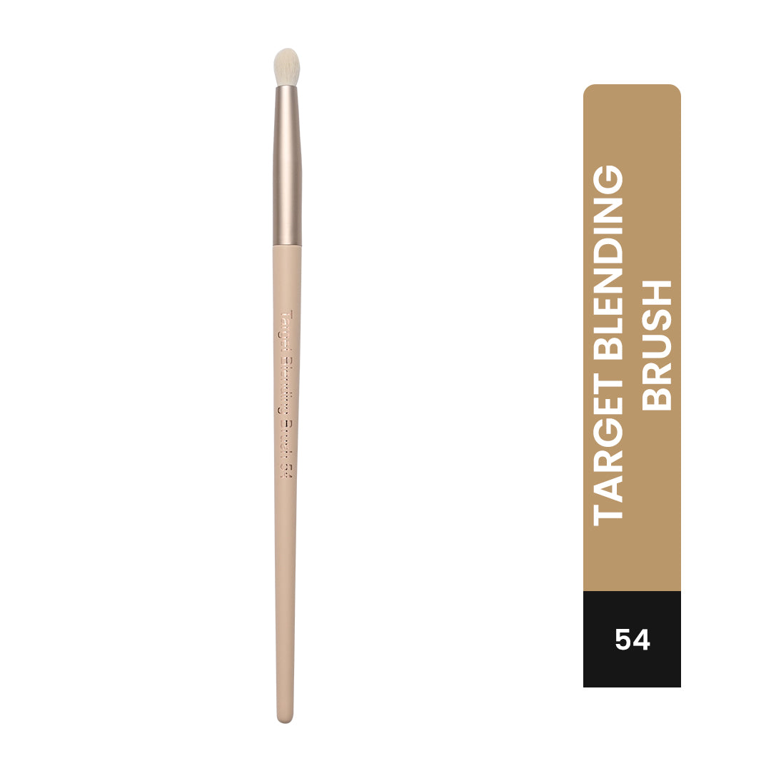 Target Blending Brush 54