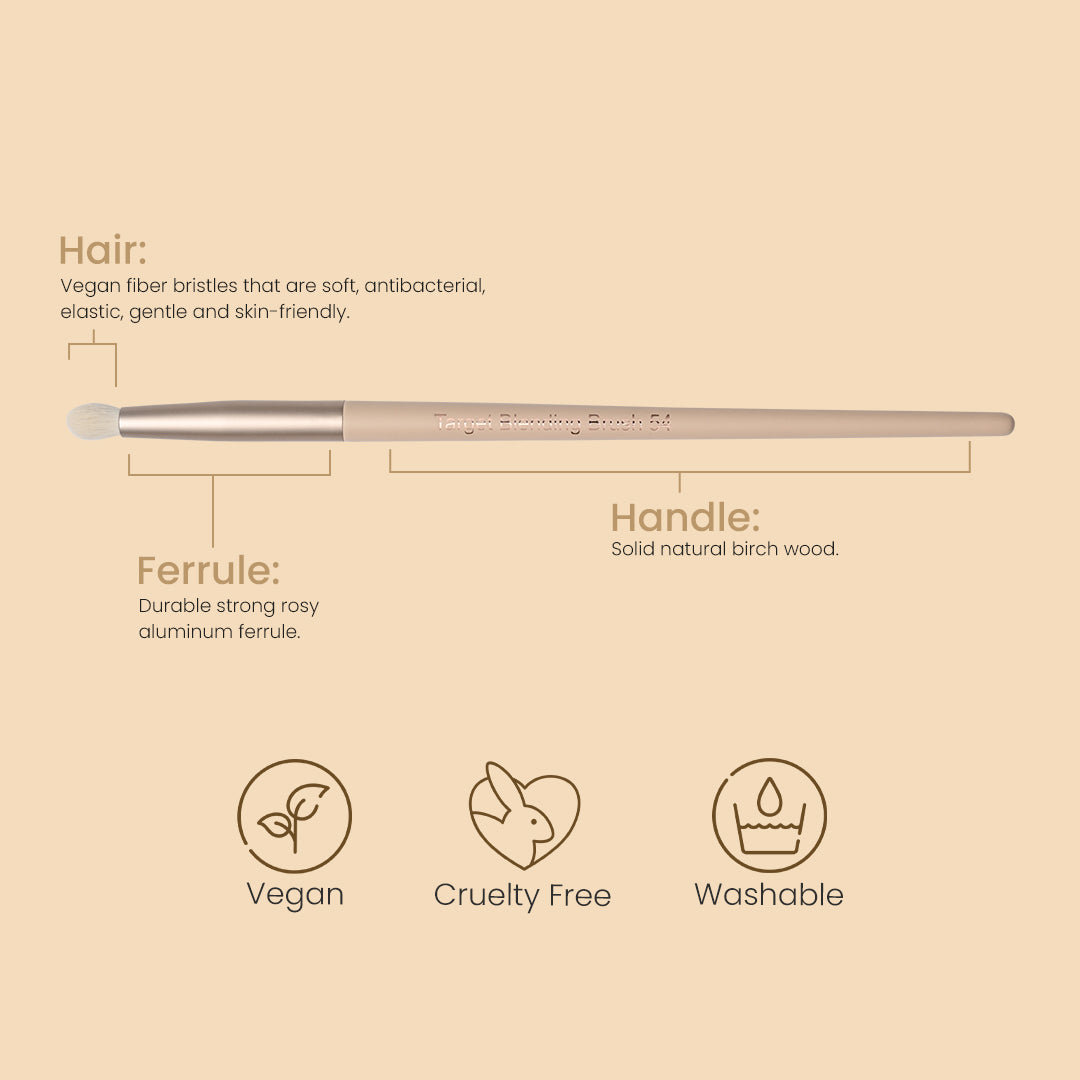 Target Blending Brush 54