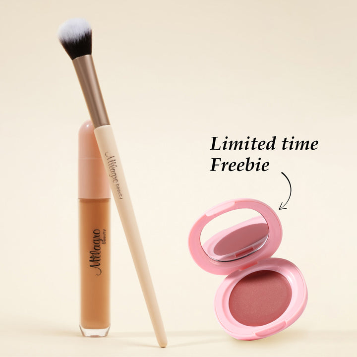 Concealer + Concealer Brush 13 Pro